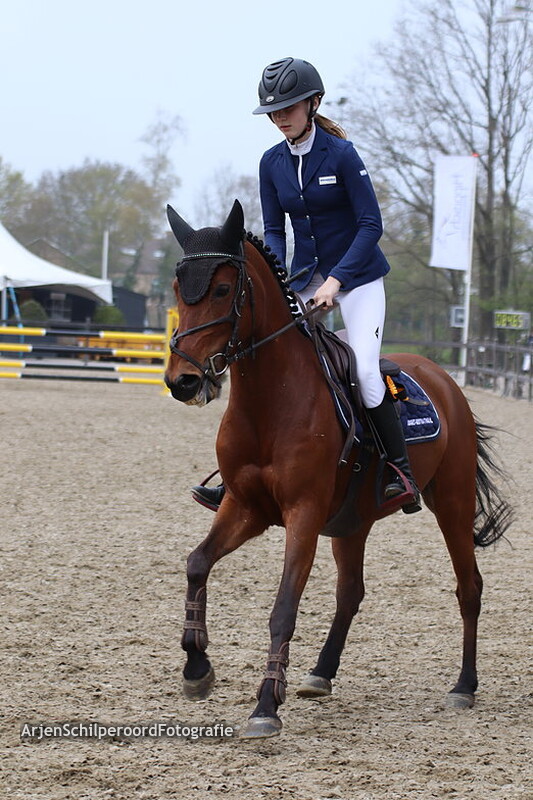 Hippisch Nieuwleusen M DE