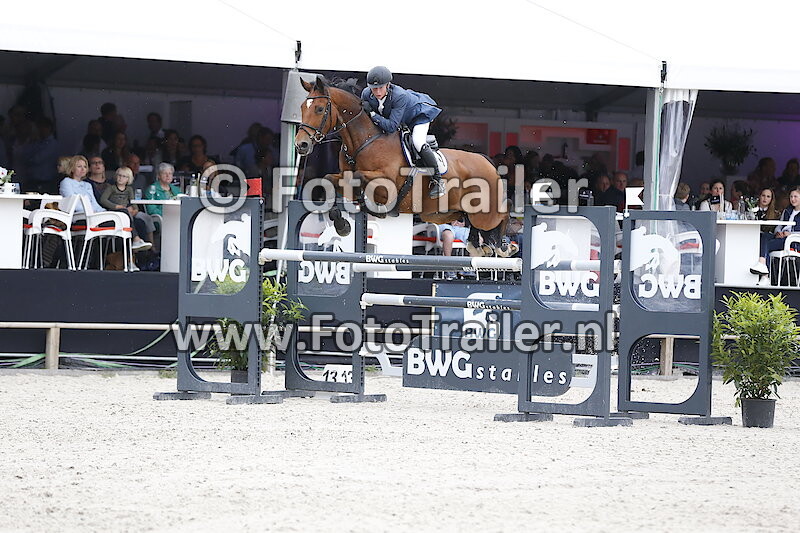 Dennis van den Brink