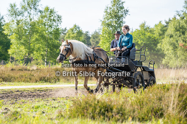 Eper Paardenvierdaagse - Eper Paarden4daagse DONDERDAG