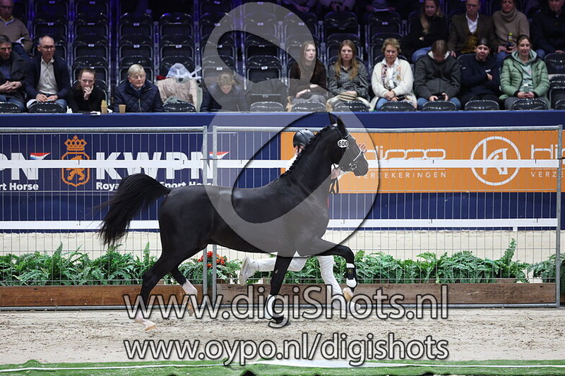 Spiedie Jane v. Abrillon