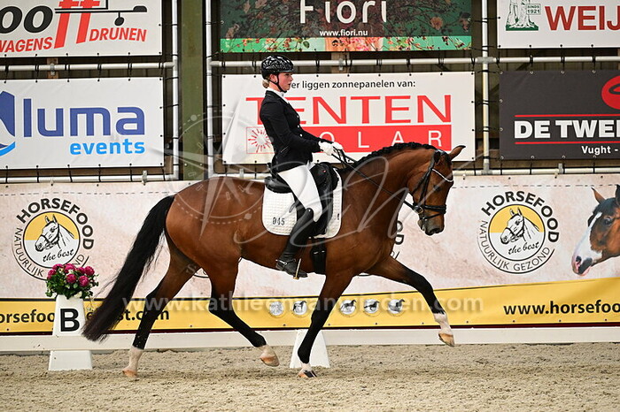 Sanne Tazelaar - Risen TS