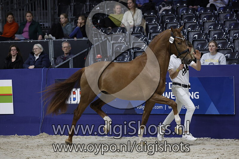 Raf Kl v. Vaderland - 533