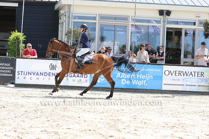 Noell Heil - Ohjur-S