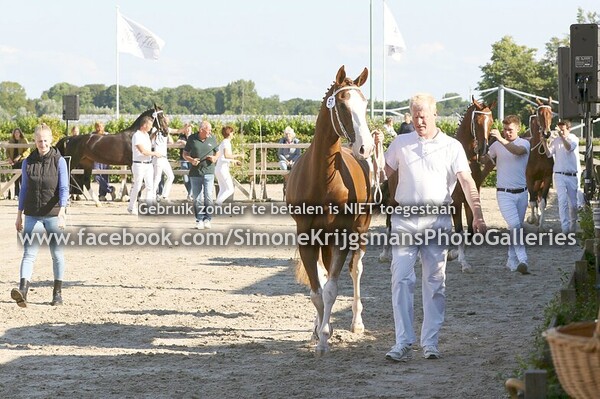 02. 4 - 7-jarige vb merries
