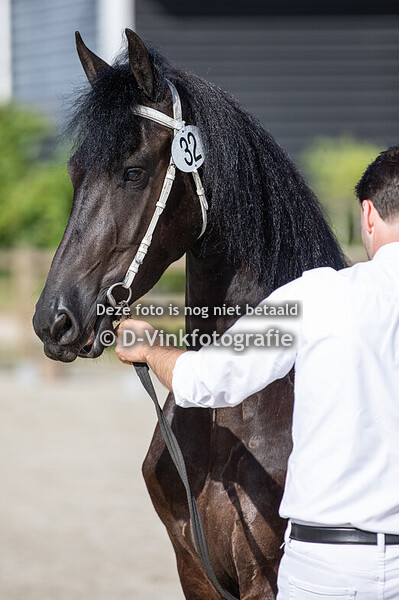 Rubriek 05 premiekeuring 4 jaar en ouder