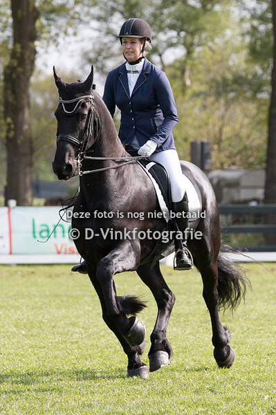 07. Bestgaand rijpaard 