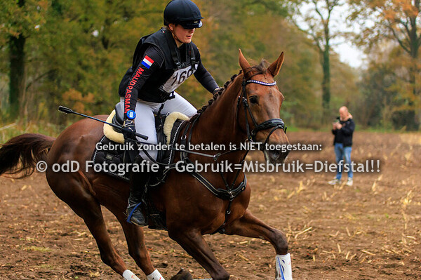 Eventing Rekken Paard M Pony Z 09-11-24