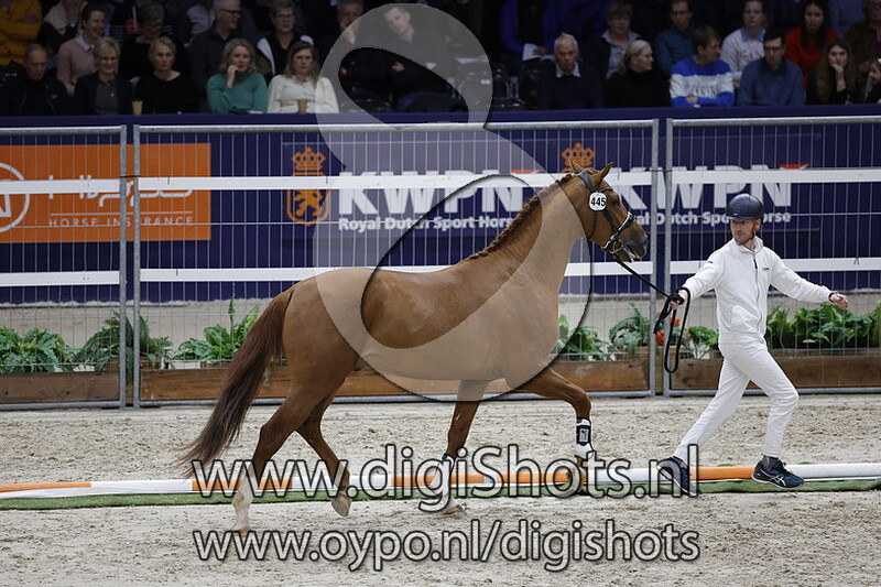 Romeo v. Lantanas - 445