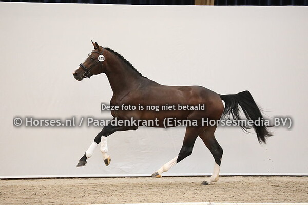 349 Diamond Hit x Rubiquil