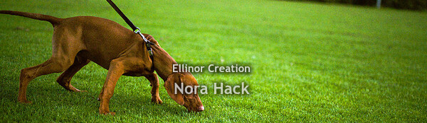 Vrijdag 20 september 2019