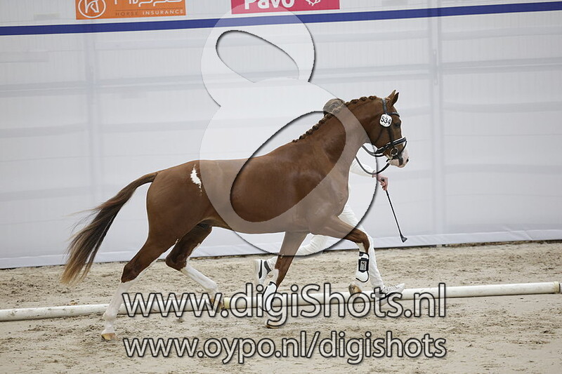 Pontiac VDT v. Total US - 534