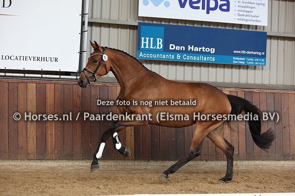 18 Sophisticated Lady (McLaren x Zaragoza v. Jazz)