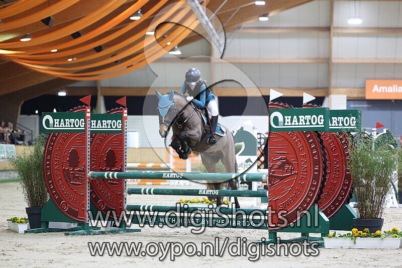 Koetsiershoeve Mystique