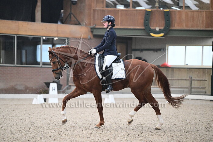 Iris van de Ven - Navarone D