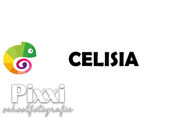 Celisia