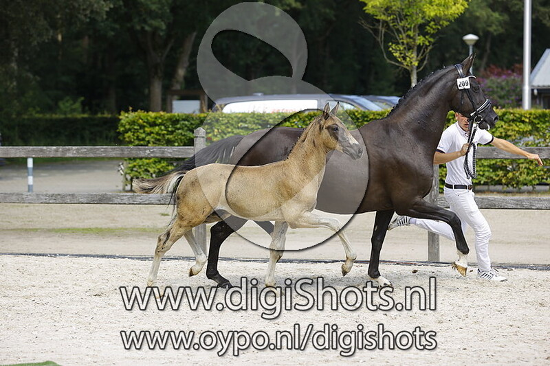 Tall John Sollenburg v. Extreme US