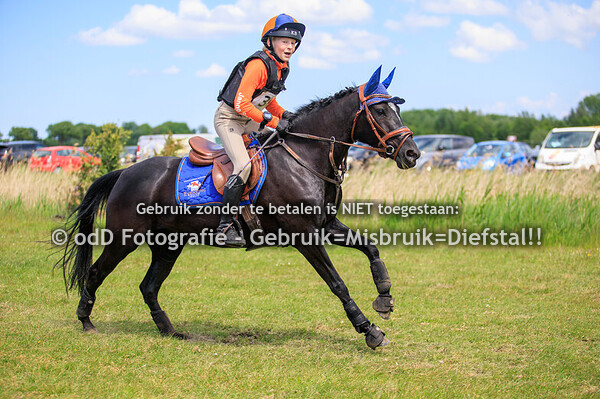 Vonk Event Paard B Pony L 18-05-25