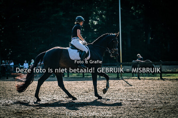 21-06-25 Dressuur pony's Frederiksoord