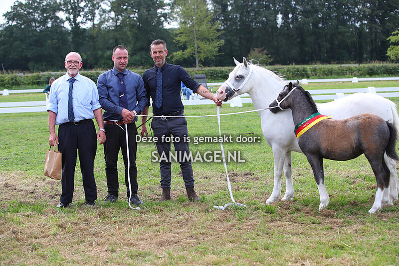 NWPCS Mega Welsh event Wezep 22-06-2024 Hoofdring Middag