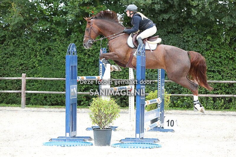 Stal Groenendaal Springen Paarden 02-08-2025 130/135 cm