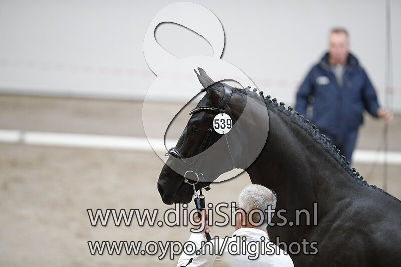 Mega Time v. Total US