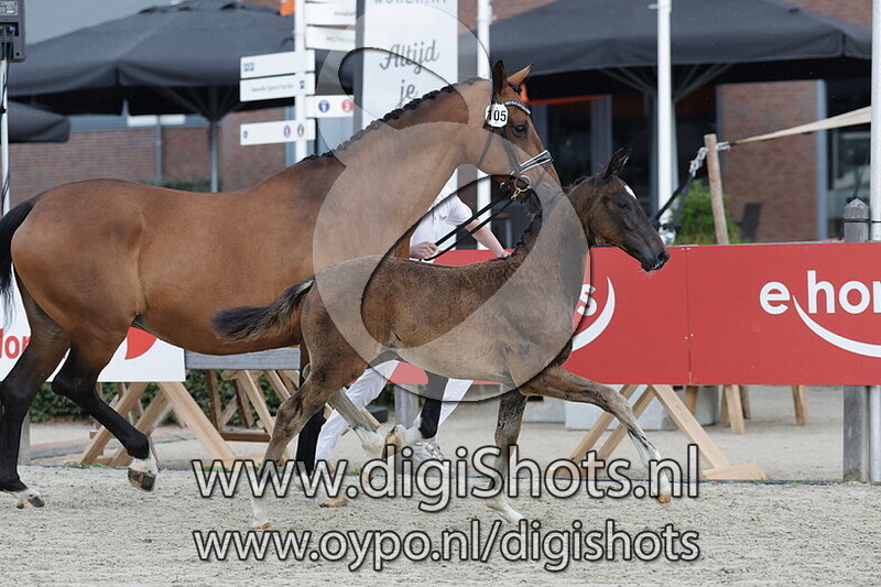 Val d Isere Ave v. Total PS