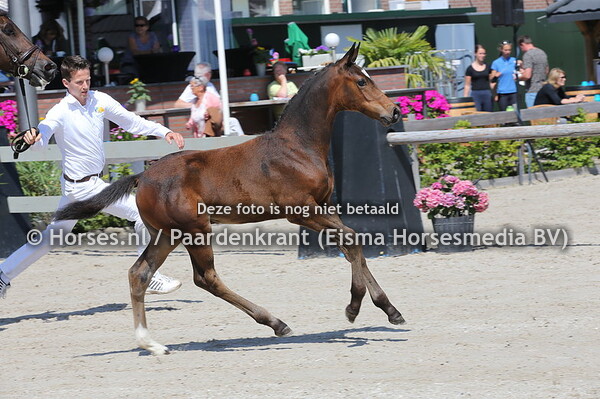 81 Old Spice XXV v Just One