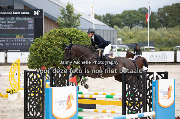 Sana Dalouh - Dragonfly