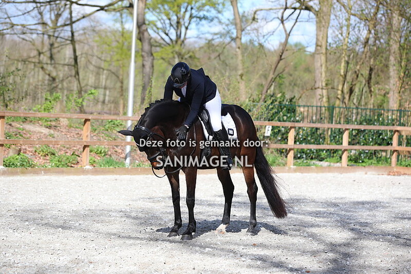RC Henschoten Maarn Dressuur 07-04-2024 10.00 uur