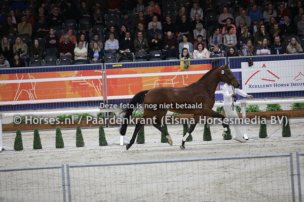 602 Mexpression (Expression x Colinda v. Koss)