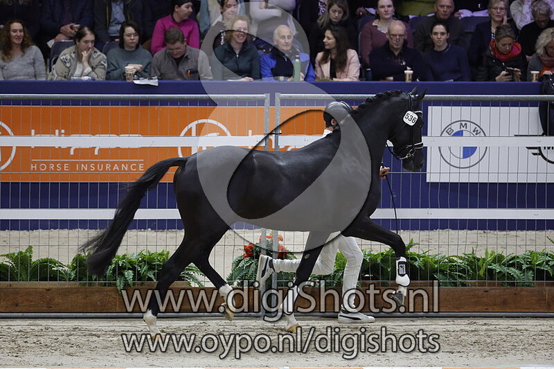 Passenger H v. Totilas - 536