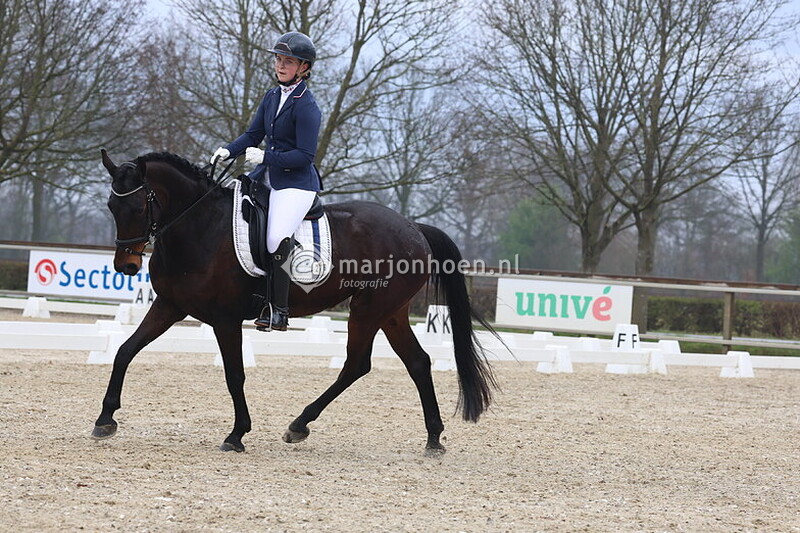 10_HAAKSBERGEN_DRESSUUR_09.00-11.15_23MRT2025