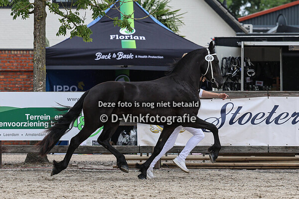 69. Yez fan de Marrewyk