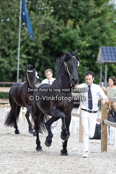 91. Gysje vom Schladitzer See