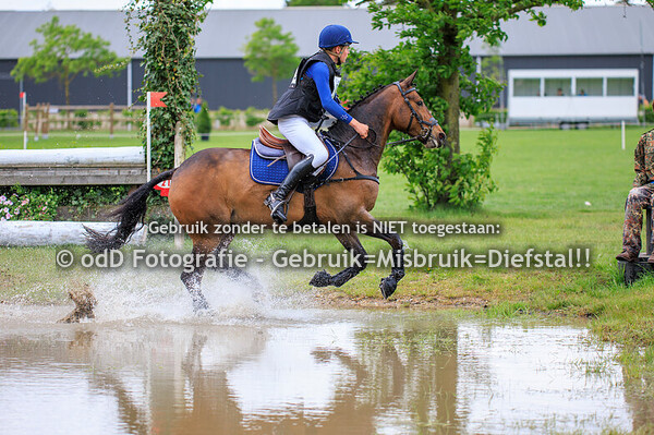 Grandorse Horsetrials Paard L Pony M 04-05-25