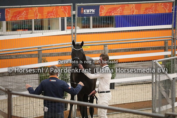 566 Trafalgar x Sandreo