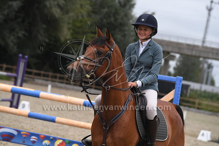 Klasse Z pony's cat. DE