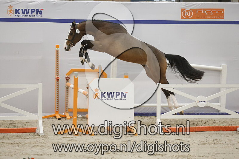 Rayder Reno Mb v. Grandorado Tn - 073