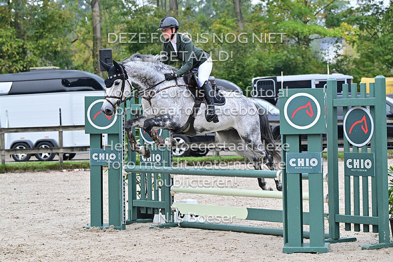 2 Paarden 90 cm - rijstijl zonder barrage