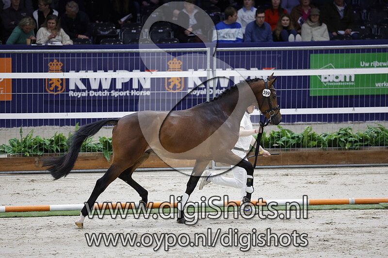 Rio Ferdinand Hcg v. Inclusive - 399