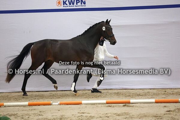 313 (Dark Rousseau x Dream Boy)