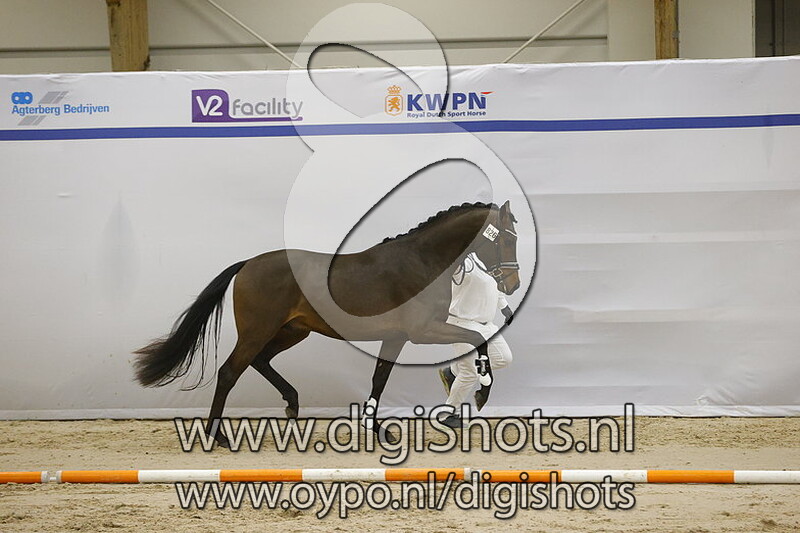 Viva Cool v. Viva Gold - 826