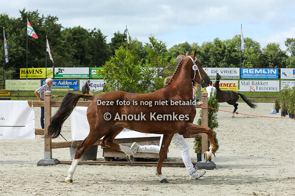 59 - Saraminde ( Macho x Fantijn ) 