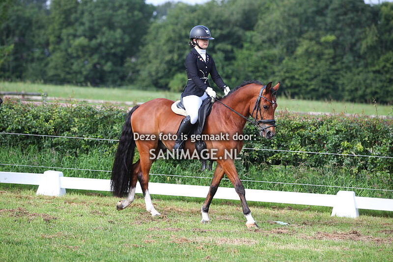 NWPCS Mega Welsh Event Wezep 22-06-2024 Ring 3 Ochtend