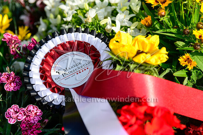 Prijsuitreikingen, shows en sfeer