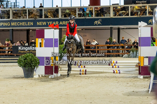 Mechelen Gouden Teugel ZZ 24