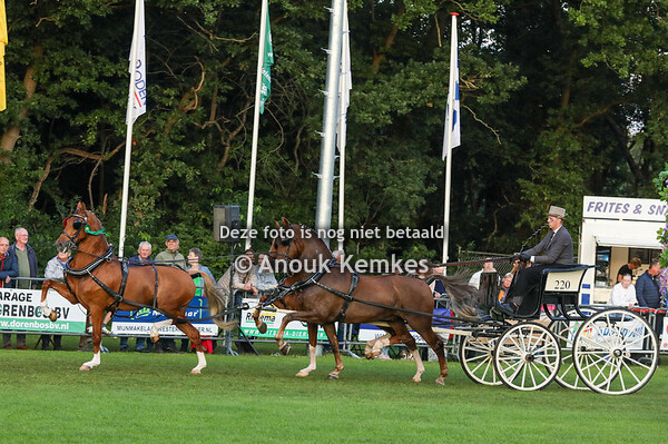 TP Klavertje drie, Finale rondje Drenthe om het bronzen Bartje