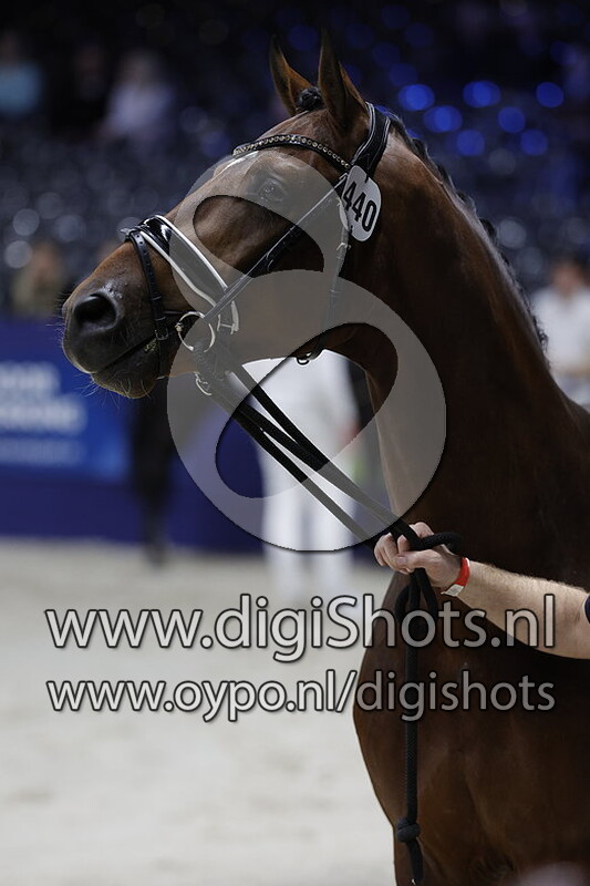 Ramblas v. Lantanas - 444