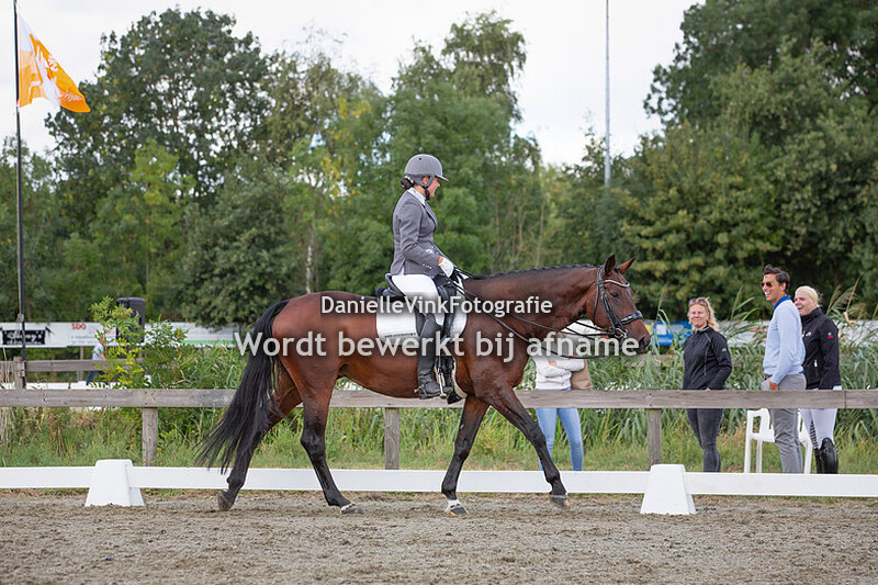 Kirstin van der Peijl - VDP's Whitney