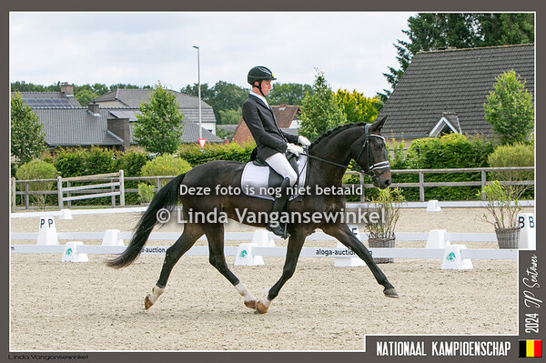 NM dressuur ring 1 en ring 2